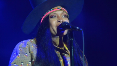 erykah badu net worth