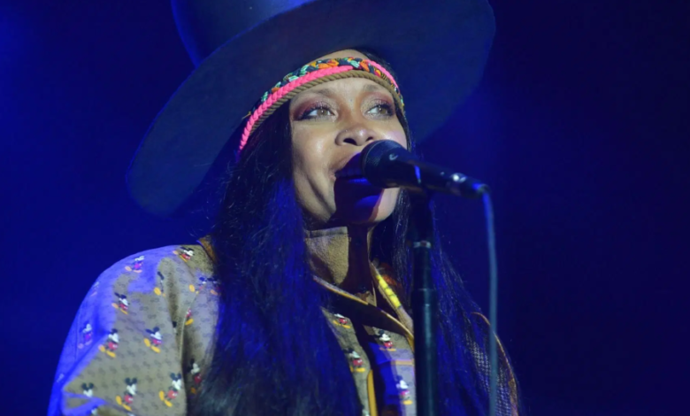 erykah badu net worth